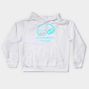 BLESSED AND CAT OBSESSED/ Cute Kitten Kids Hoodie